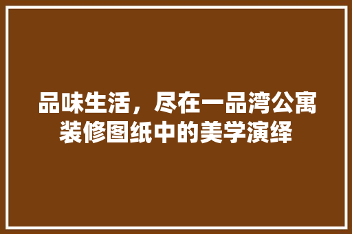 品味生活，尽在一品湾公寓装修图纸中的美学演绎