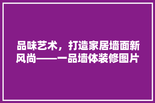 品味艺术，打造家居墙面新风尚——一品墙体装修图片赏析