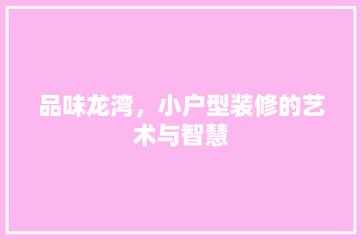 品味龙湾，小户型装修的艺术与智慧