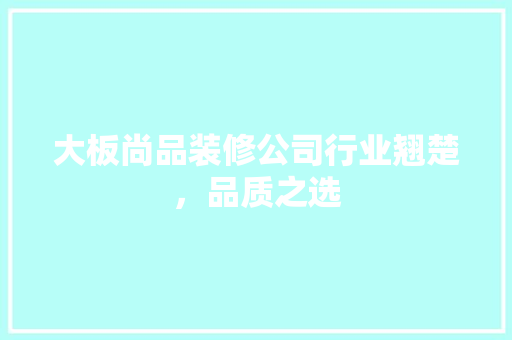 大板尚品装修公司行业翘楚，品质之选