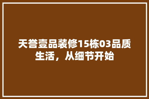 天誉壹品装修15栋03品质生活，从细节开始