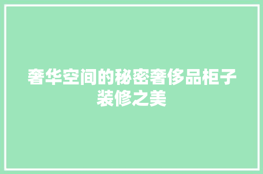 奢华空间的秘密奢侈品柜子装修之美