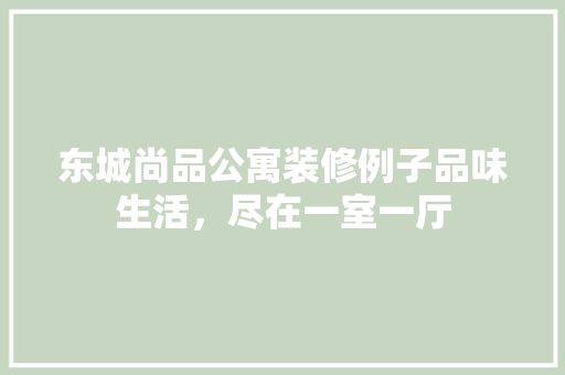 东城尚品公寓装修例子品味生活，尽在一室一厅
