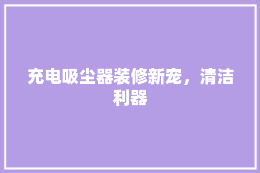 充电吸尘器装修新宠，清洁利器