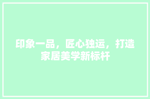 印象一品，匠心独运，打造家居美学新标杆