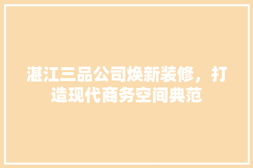 湛江三品公司焕新装修，打造现代商务空间典范