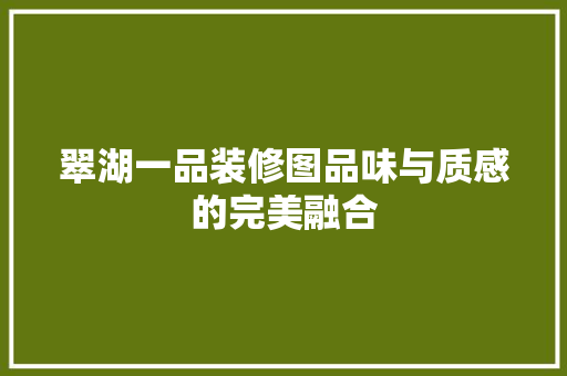 翠湖一品装修图品味与质感的完美融合