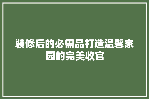 装修后的必需品打造温馨家园的完美收官