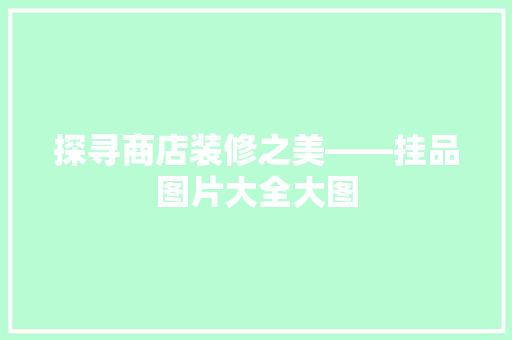 探寻商店装修之美——挂品图片大全大图