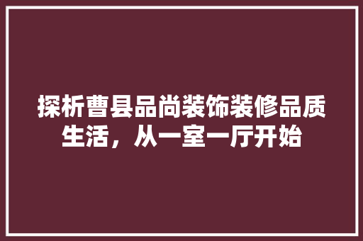 探析曹县品尚装饰装修品质生活，从一室一厅开始