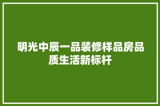 明光中辰一品装修样品房品质生活新标杆