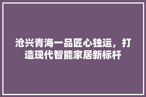 沧兴青海一品匠心独运，打造现代智能家居新标杆
