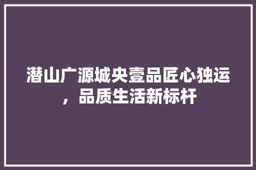 潜山广源城央壹品匠心独运，品质生活新标杆
