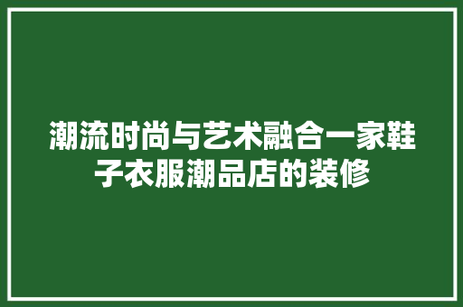 潮流时尚与艺术融合一家鞋子衣服潮品店的装修