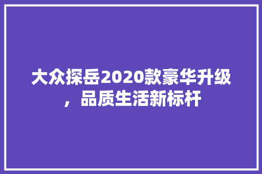 大众探岳2020款豪华升级，品质生活新标杆