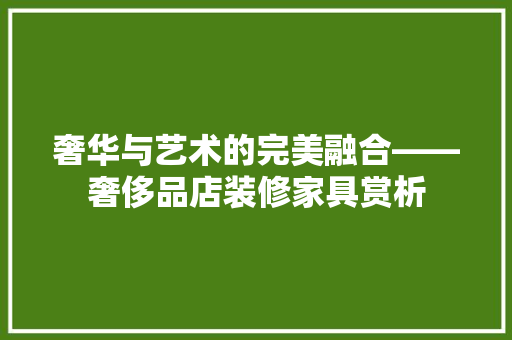 奢华与艺术的完美融合——奢侈品店装修家具赏析