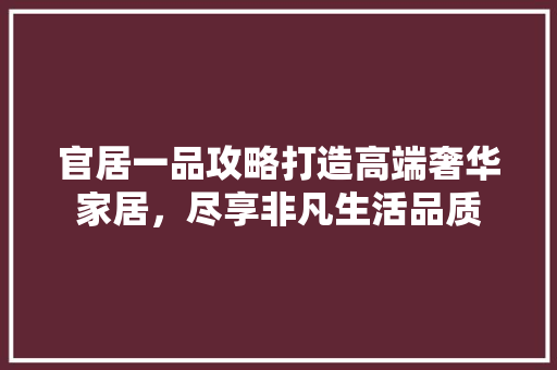 官居一品攻略打造高端奢华家居，尽享非凡生活品质