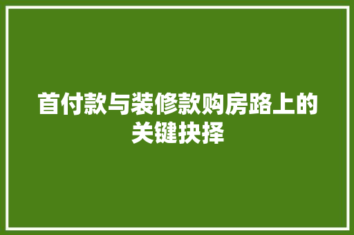 首付款与装修款购房路上的关键抉择