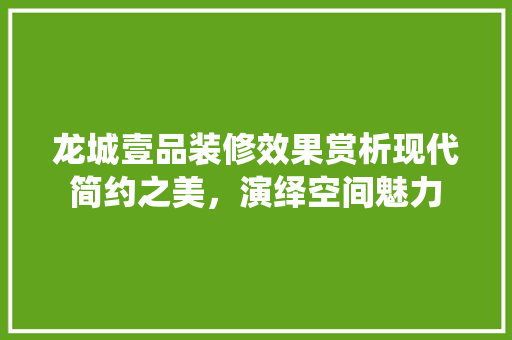 龙城壹品装修效果赏析现代简约之美，演绎空间魅力 常见问题