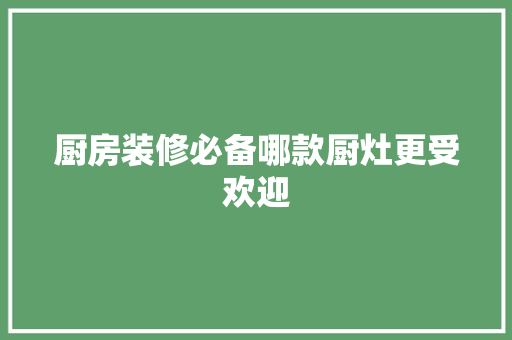 厨房装修必备哪款厨灶更受欢迎