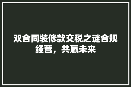 双合同装修款交税之谜合规经营，共赢未来