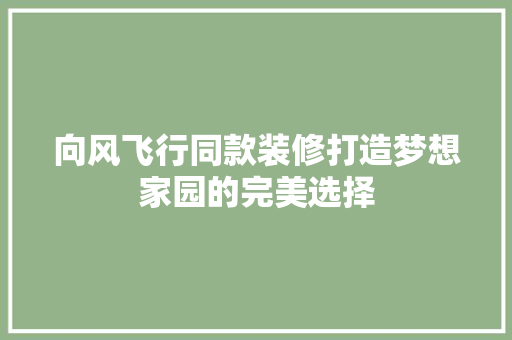 向风飞行同款装修打造梦想家园的完美选择