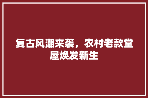 复古风潮来袭，农村老款堂屋焕发新生