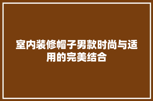 室内装修帽子男款时尚与适用的完美结合
