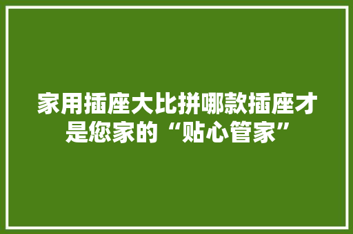 家用插座大比拼哪款插座才是您家的“贴心管家”