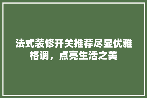 法式装修开关推荐尽显优雅格调，点亮生活之美