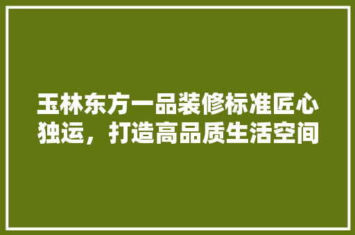 玉林东方一品装修标准匠心独运，打造高品质生活空间 材料设备