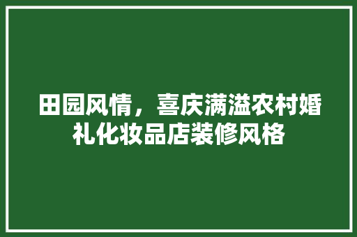 田园风情，喜庆满溢农村婚礼化妆品店装修风格