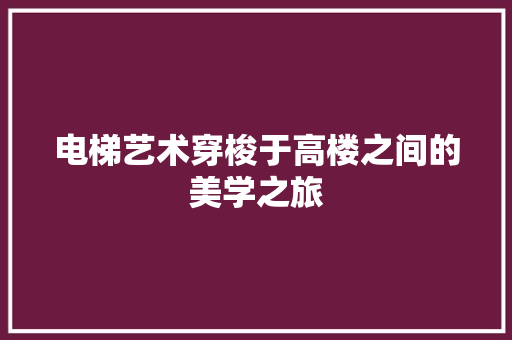 电梯艺术穿梭于高楼之间的美学之旅