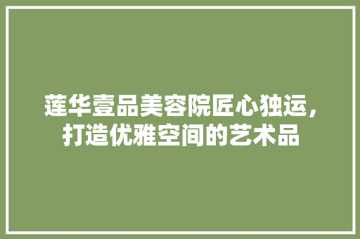莲华壹品美容院匠心独运，打造优雅空间的艺术品