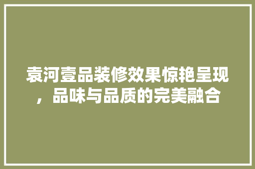 袁河壹品装修效果惊艳呈现，品味与品质的完美融合
