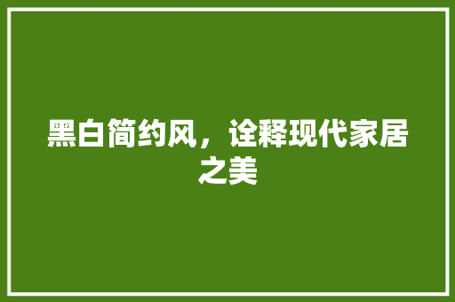 黑白简约风，诠释现代家居之美