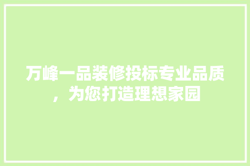 万峰一品装修投标专业品质，为您打造理想家园