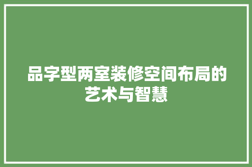 品字型两室装修空间布局的艺术与智慧