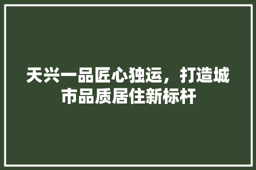 天兴一品匠心独运，打造城市品质居住新标杆