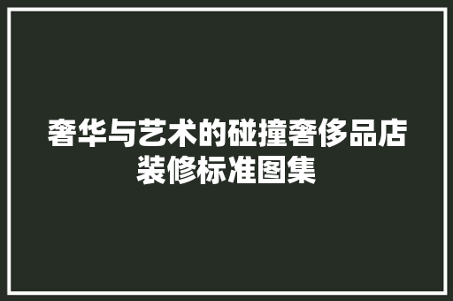 奢华与艺术的碰撞奢侈品店装修标准图集