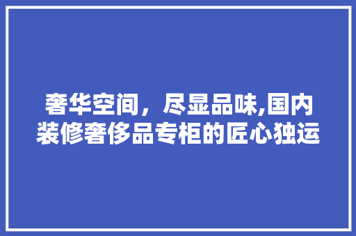 奢华空间，尽显品味,国内装修奢侈品专柜的匠心独运