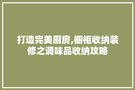 打造完美厨房,橱柜收纳装修之调味品收纳攻略