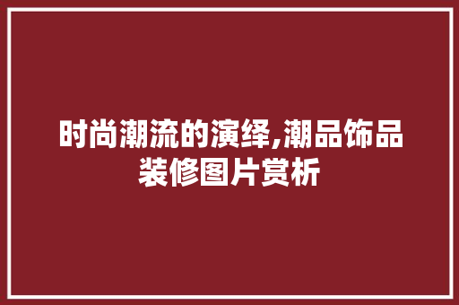 时尚潮流的演绎,潮品饰品装修图片赏析