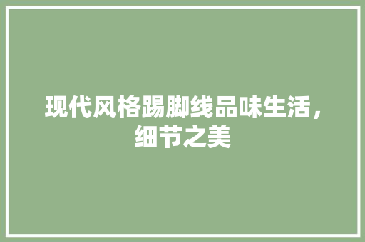 现代风格踢脚线品味生活，细节之美
