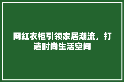 网红衣柜引领家居潮流，打造时尚生活空间