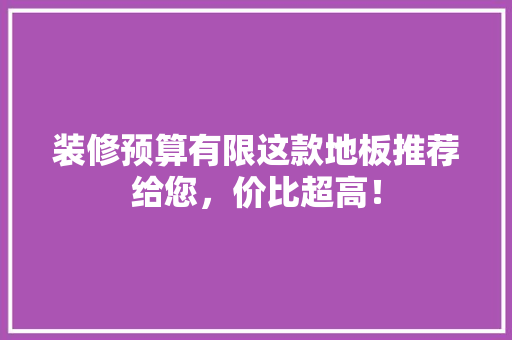 装修预算有限这款地板推荐给您，价比超高！