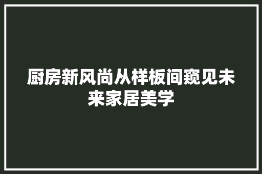 厨房新风尚从样板间窥见未来家居美学