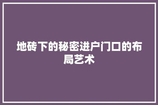 地砖下的秘密进户门口的布局艺术