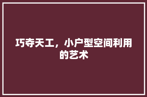 巧夺天工，小户型空间利用的艺术 知识问答