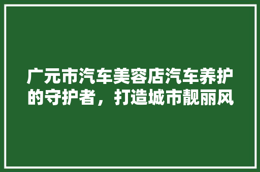 广元市汽车美容店汽车养护的守护者，打造城市靓丽风景线